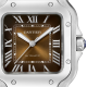 Cartier Santos de Cartier WSSA0065 Mittleres Metallgehäuse zwei austauschbare Riemen