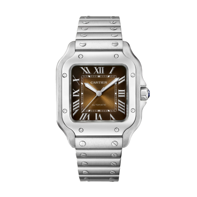 Cartier Santos de Cartier WSSA0065 Mittleres Metallgehäuse zwei austauschbare Riemen